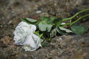 2 Killed in Head-On Crash on Rte 50
